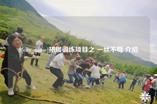 资阳拓展训练项目之 一丝不苟 介绍